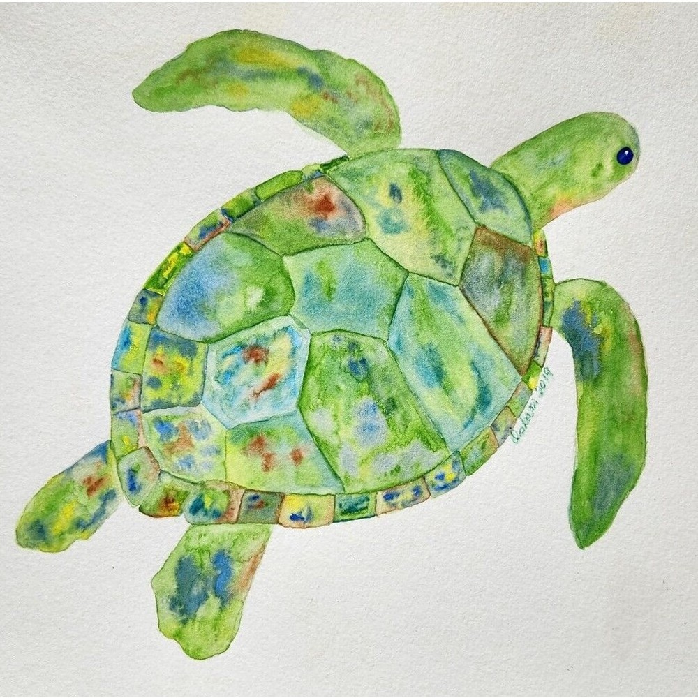 Turtle Watercolor Painting Original 9x12 Handmade Watercolor Paper